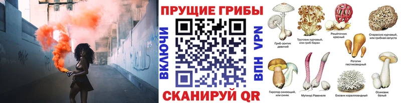 Псилоцибиновые грибы мухоморы  Черкесск 